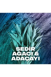 Axe Erkek Deodorant & Bodyspray Apollo 48 Saat Etkileyici Koku 150 ML - Thumbnail