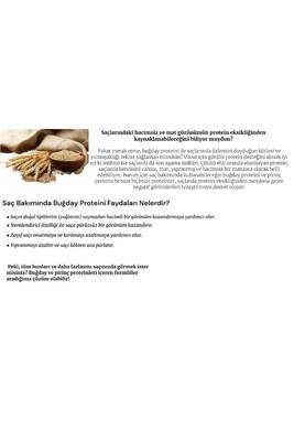 Dalan Onarıcı Bakım Zeytinyağlı Besleyici Şampuan 400 ML