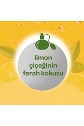 Dalin Bebek Kolonyası Limon Çiçeği 150 Ml - Thumbnail