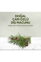 Eyüp Sabri Tuncer Doğal Çam Özlü Macunu 90ml - Thumbnail