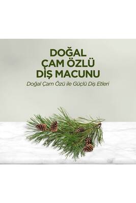 Eyüp Sabri Tuncer Doğal Çam Özlü Macunu 90ml