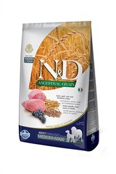 N&D - N&D Düşük Tahıllı Kuzu Etli Yaban Mersinli Orta ve Büyük Irk Yetişkin Köpek Maması 12 KG