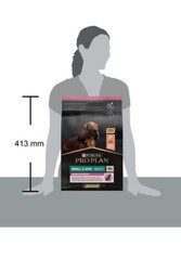Proplan Köpek yetişkin mini Irk Sensitive Skin Somon 3kg - Thumbnail