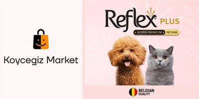 Reflex Plus Yavru Kedi Başlangıç Paketi