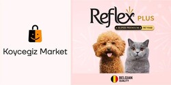Reflex Plus Yavru Kedi Başlangıç Paketi - Thumbnail