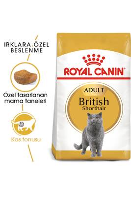 Royal Canin British Shorthair Adult Kedi Maması 2 kg