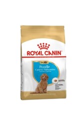 ROYAL CANİN - Royal Canin Puppy Poodle Küçük Irk Yavru Köpek Maması 3 KG