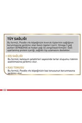 Royal Canin Puppy Poodle Küçük Irk Yavru Köpek Maması 3 KG - Thumbnail