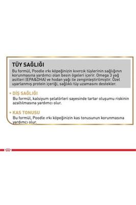 Royal Canin Puppy Poodle Küçük Irk Yavru Köpek Maması 3 KG