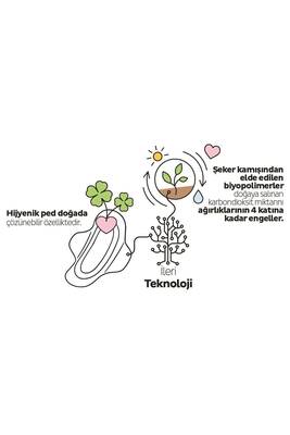 Sleepy Ecologic Premium Plus Günlük Ped Normal Ped 40 Adet