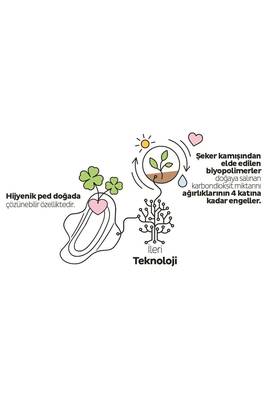 Sleepy Ecologic Premium Plus Günlük Ped Uzun Ped 32 Adet