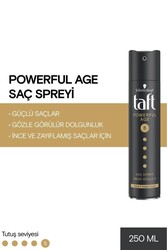 Taft - Taft Pawerful Age 5 Mega Güçlü Saç Spreyi 250 ML 1 ADET